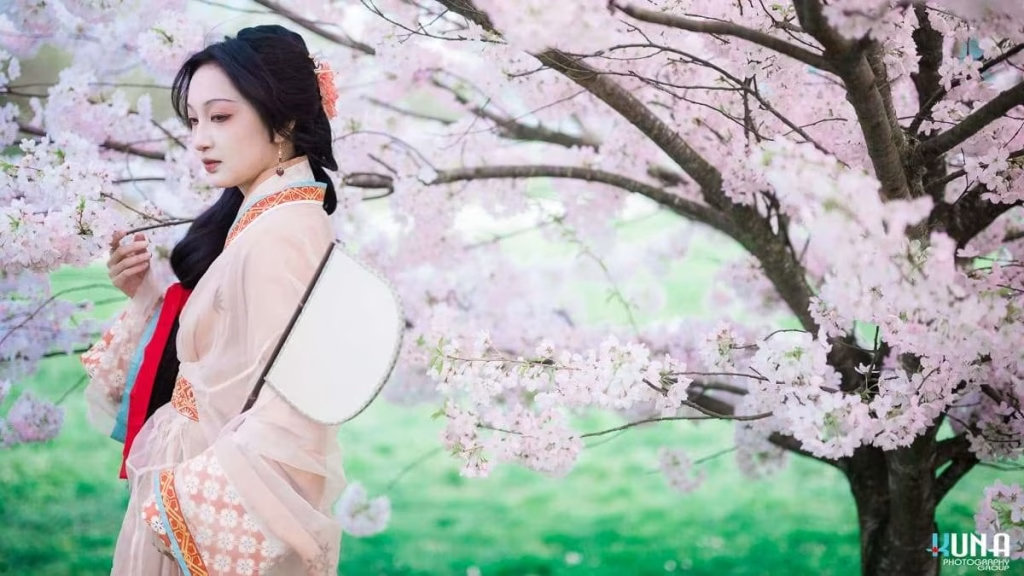 Standing hanfu portrait in Vancouver: Subject under full bloom cherry trees holding white fan behind back at Larry Berg Flight Path Park in Richmond BC 2025.